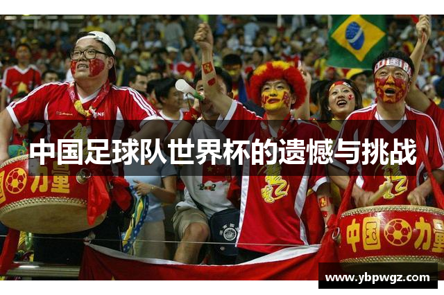 中国足球队世界杯的遗憾与挑战